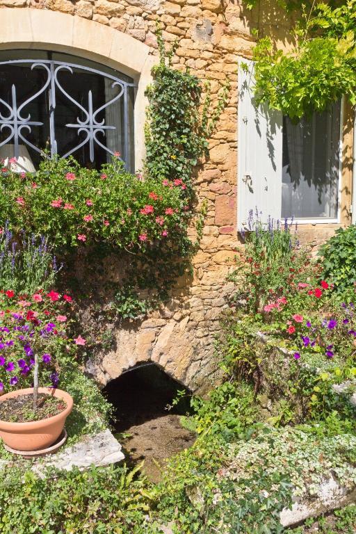 Bed & Breakfast Le Moulin Neuf Saint-Alvere Exterior photo